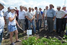 Field Day in Kursk Oblast